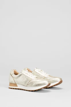 Beate Trainer|ELK