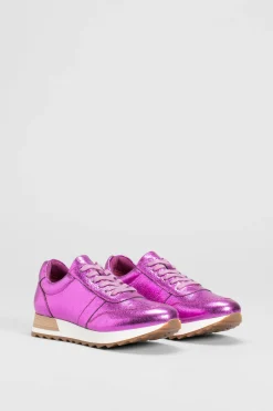 Beate Trainer|ELK