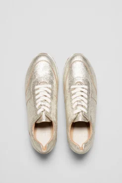 Beate Trainer|ELK