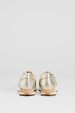 Beate Trainer|ELK