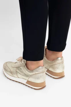 Beate Trainer|ELK