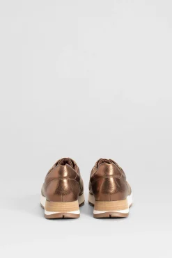Beate Trainer|ELK