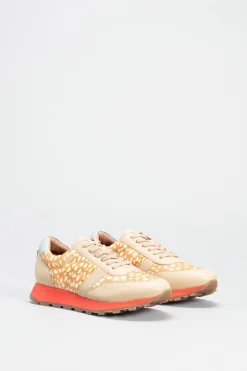 Orten Trainer|ELK Online