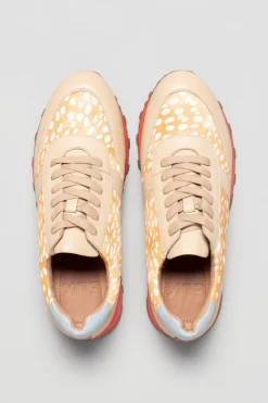 Orten Trainer|ELK Online