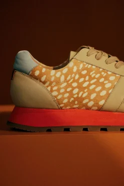 Orten Trainer|ELK Online